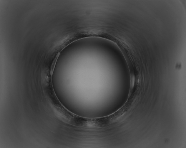 X0000091680264200708301526