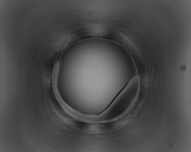 X0000091680268200708301526