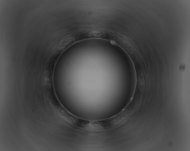 X0000091680270200708301526