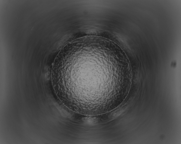 X0000091680273200708301526