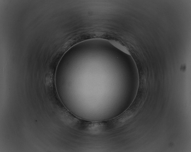 X0000091680274200708301526