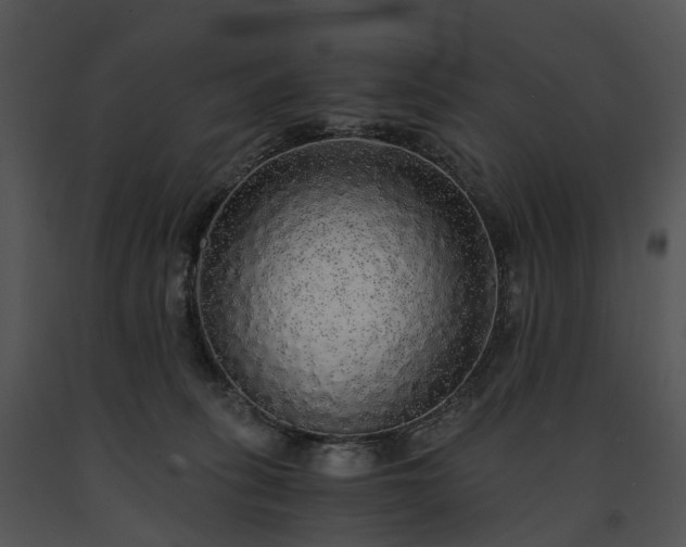 X0000091680275200708301526