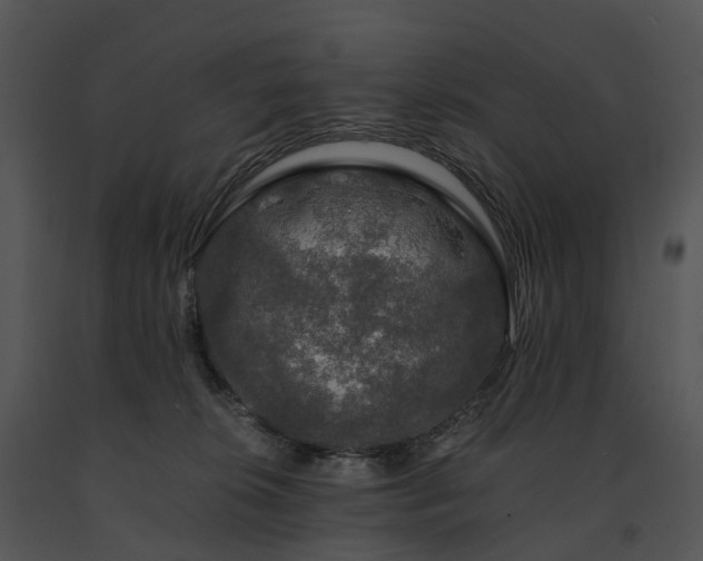 X0000091680276200708301526