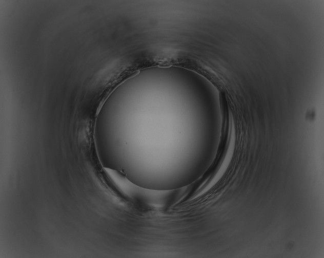 X0000091680280200708301526