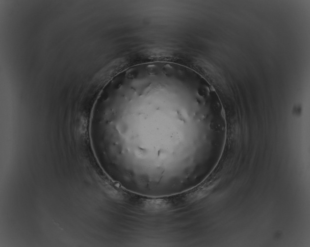 X0000091680281200708301526