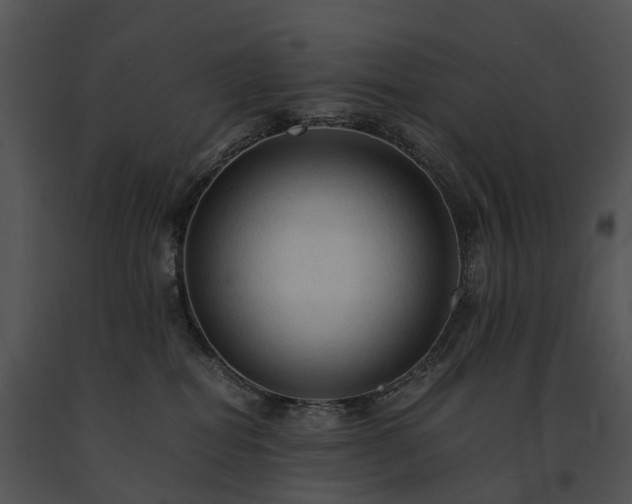 X0000091680282200708301526