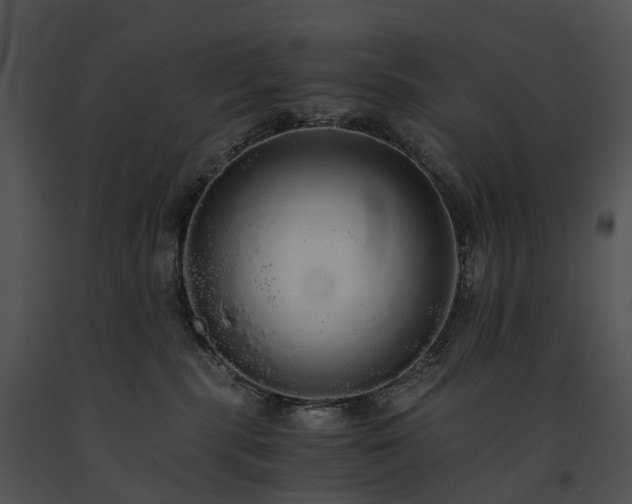 X0000091680283200708301526
