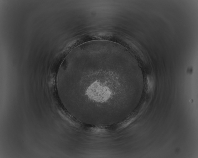 X0000091680284200708301526