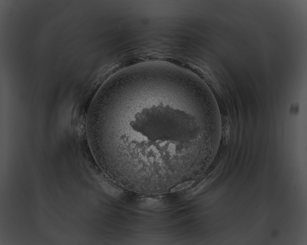 X0000091680285200708301526