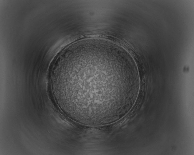 X0000091680290200708301525