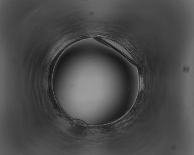 X0000091680291200708301525