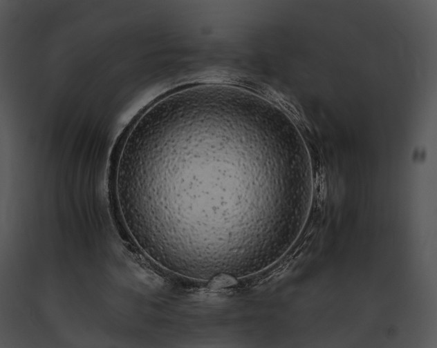 X0000091680292200708301525