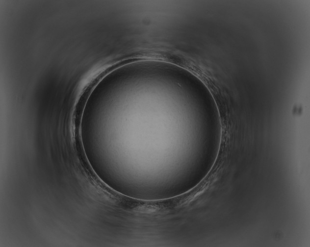 X0000091680294200708301525