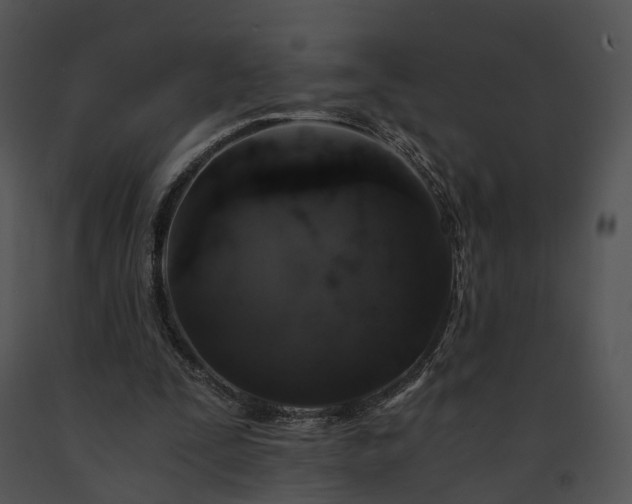 X0000091680295200708301525