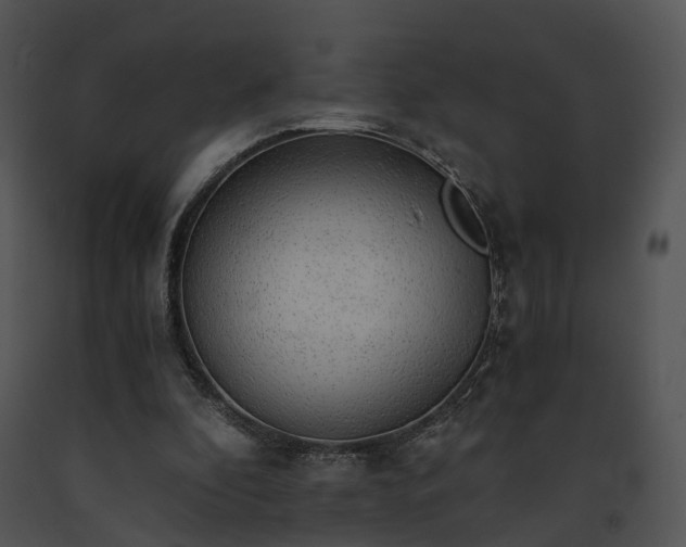 X0000091680296200708301525