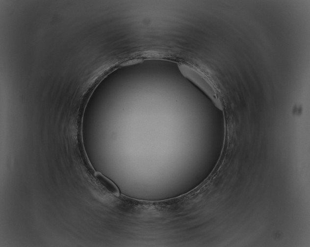 X0000091680297200708301525