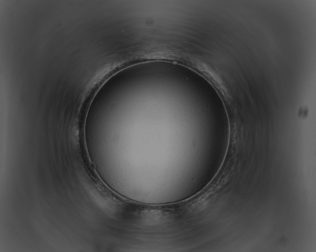 X0000091680298200708301525