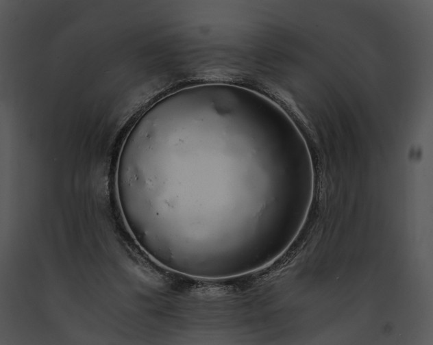 X0000091680299200708301525