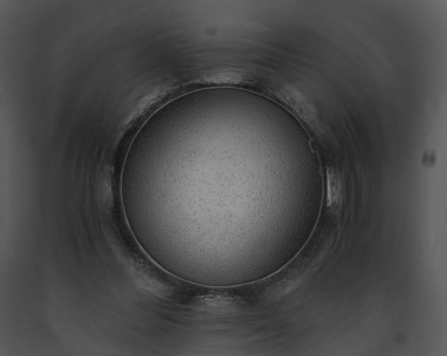 X0000091680300200708301525