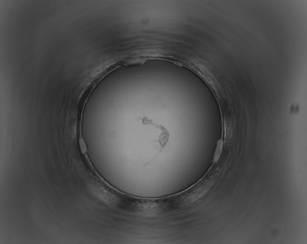 X0000091680301200708301525