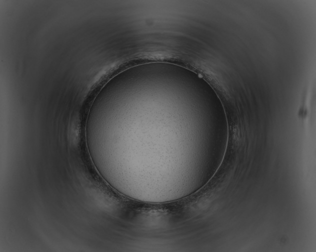 X0000091680304200708301525