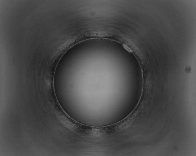 X0000091680305200708301525
