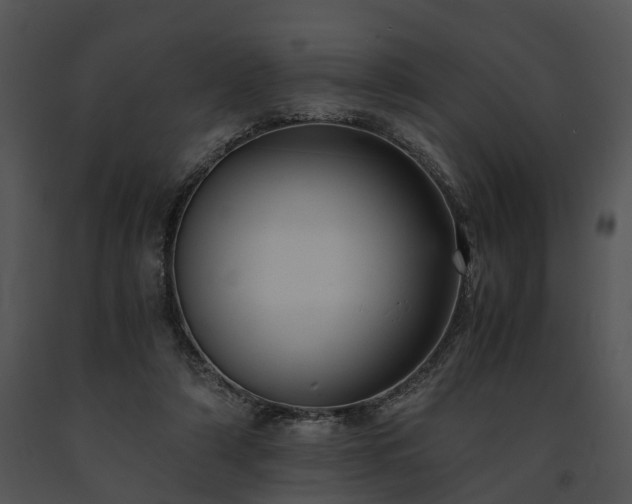 X0000091680306200708301525