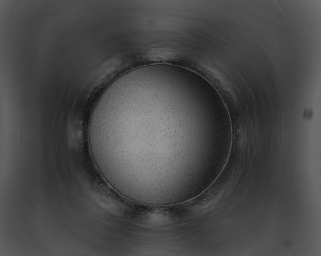 X0000091680308200708301525