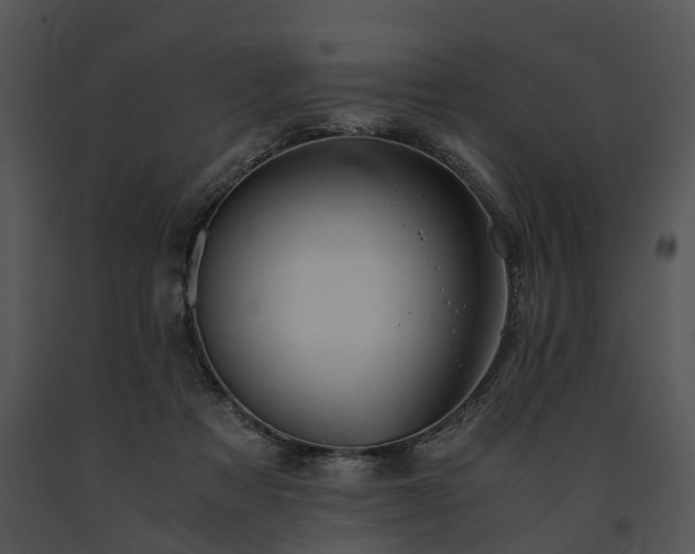 X0000091680313200708301525