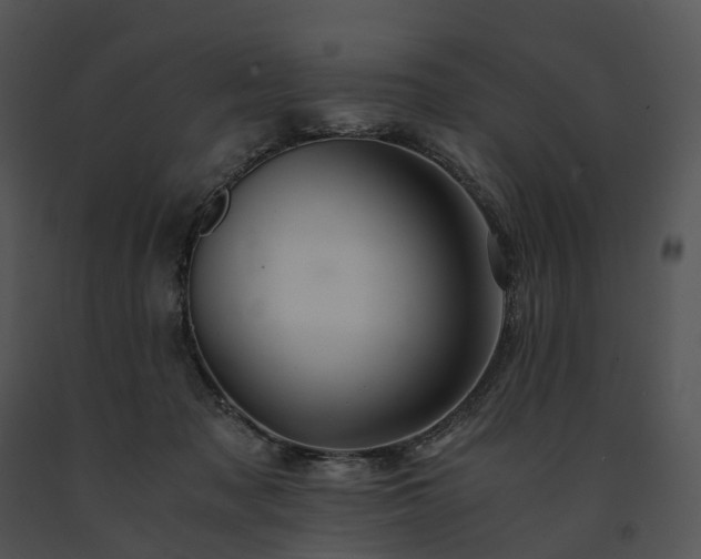 X0000091680317200708301525