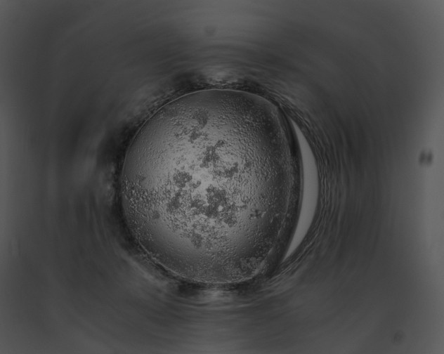 X0000091680319200708301525