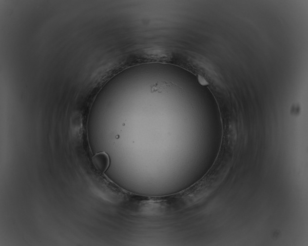 X0000091680320200708301525