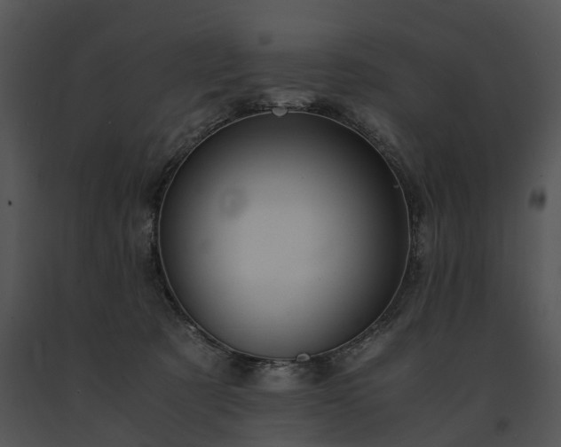 X0000091680321200708301525
