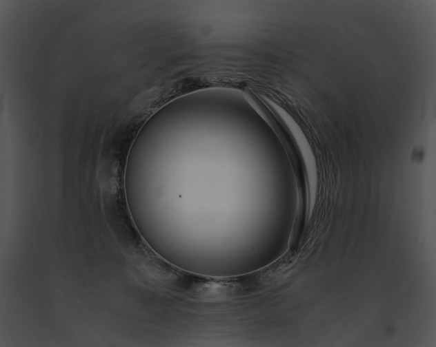 X0000091680323200708301525