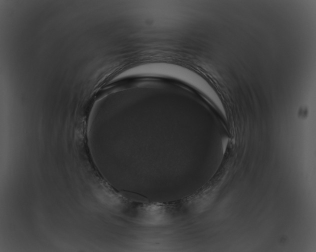 X0000091680325200708301525