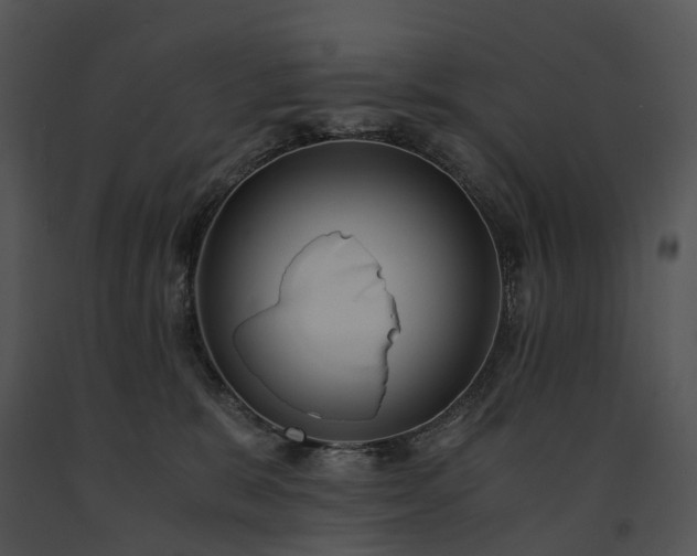 X0000091680327200708301525