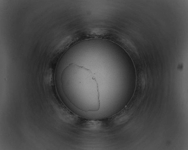 X0000091680328200708301525