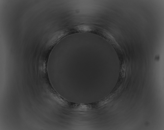 X0000091680330200708301525