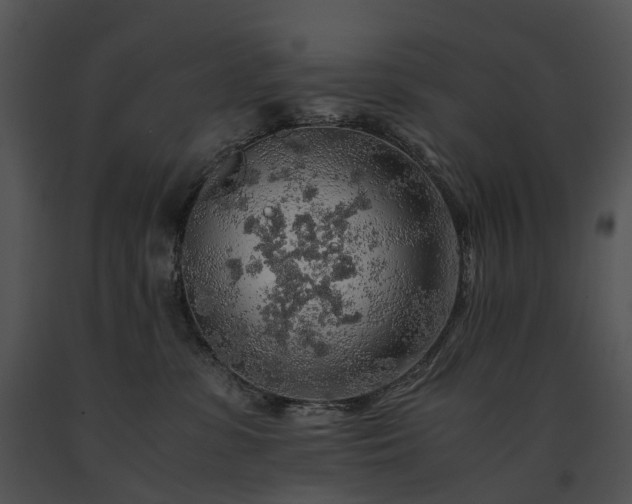 X0000091680331200708301525