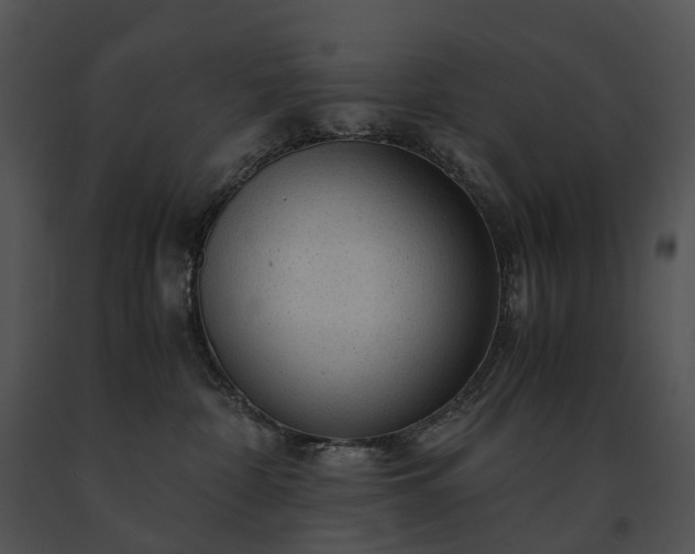 X0000091680332200708301525