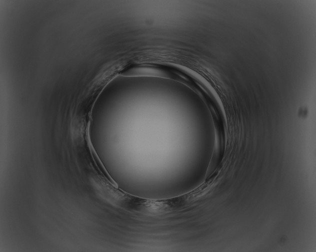 X0000091680333200708301525