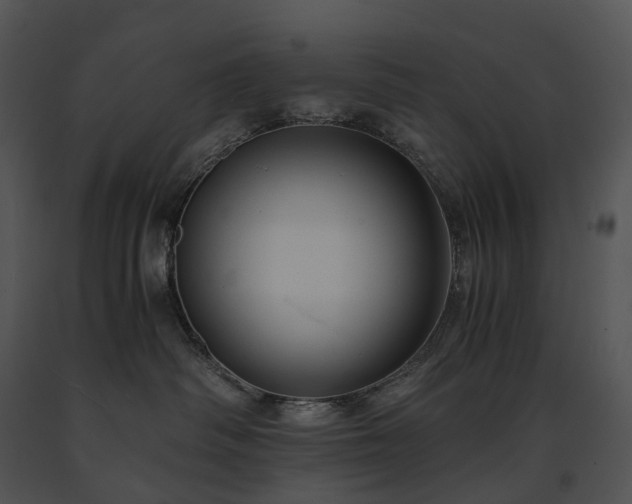 X0000091680334200708301525
