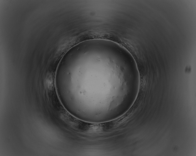 X0000091680335200708301525