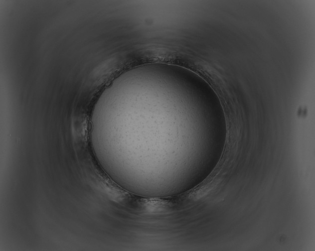 X0000091680336200708301525