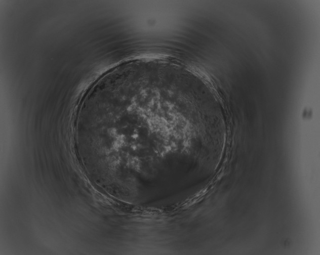 X0000091680337200708301524