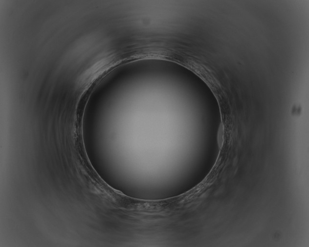 X0000091680338200708301524