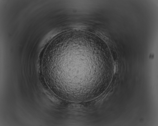 X0000091680339200708301524