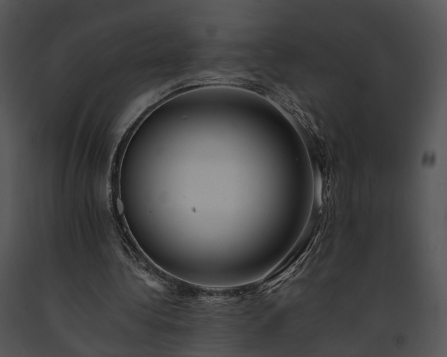 X0000091680340200708301524