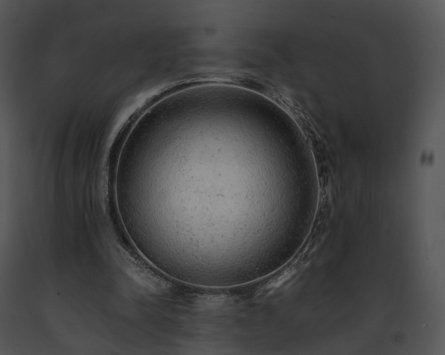 X0000091680342200708301524