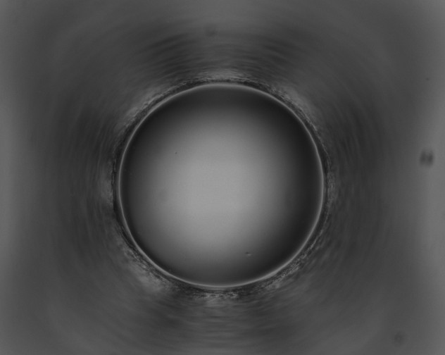 X0000091680345200708301524